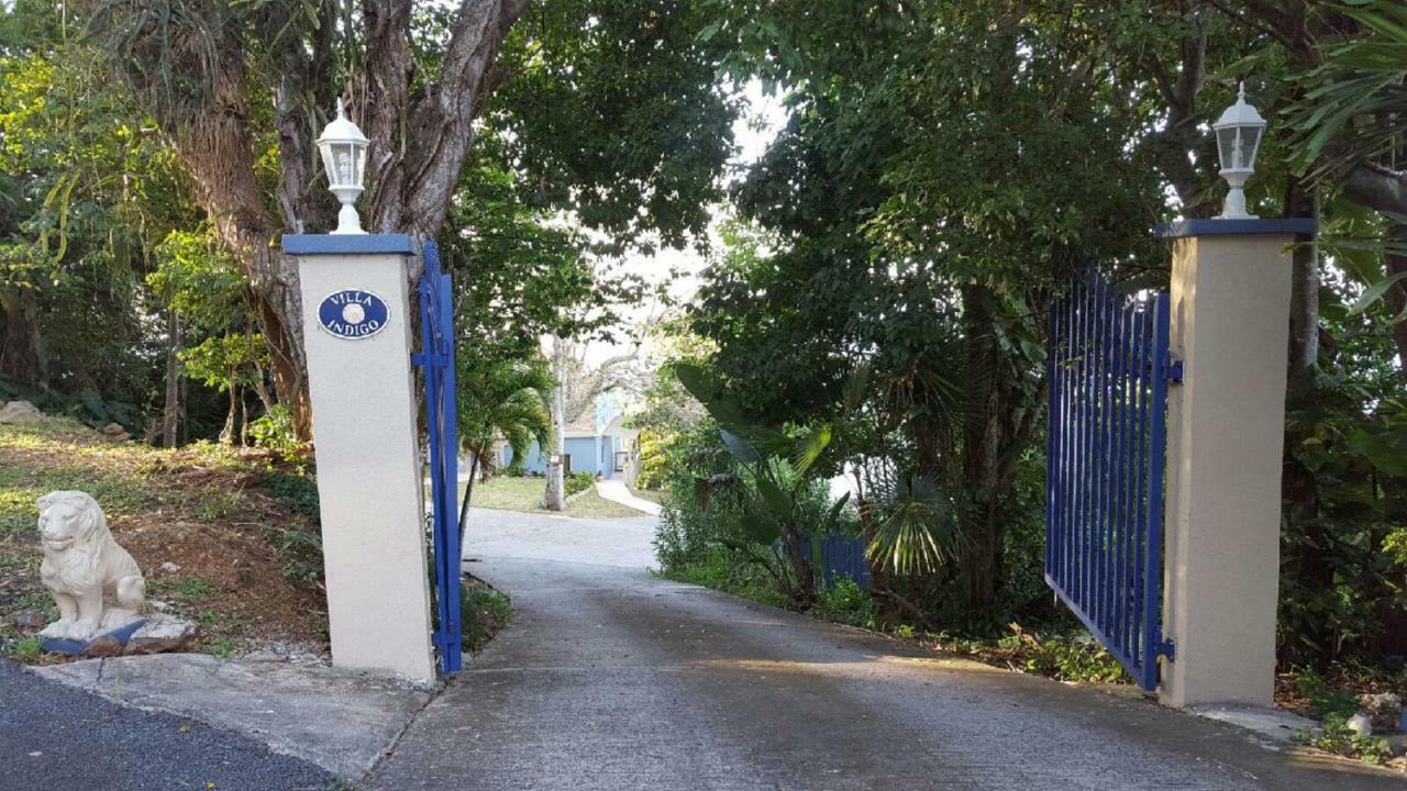 Villa Indigo Sunny 1Br Apartment In Private Gated Estate ชาร์ลอตต์อะมาลี ภายนอก รูปภาพ